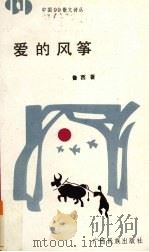 爱的风筝（1992 PDF版）