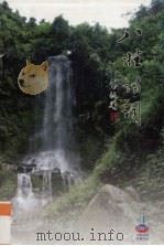 八桂诗词  2007年  第1期  总第44期（ PDF版）