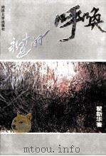 永远的呼唤 1993 PDF电子版封面 7560811337 瞿新华著