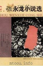 张永龙小说选（1993 PDF版）