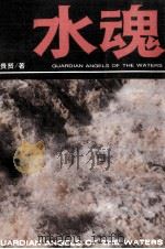 水魂  长篇报告文学（1993 PDF版）
