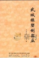 武城橡塑制品业 文史资料 第6辑 PDF电子版封面 政协武城县文史资料委员会编
