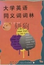大学英语同义词词林（1996 PDF版）
