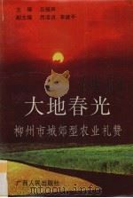 大地春光（1997 PDF版）