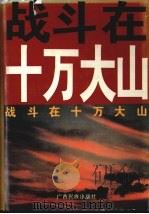 战斗在十万大山（1995 PDF版）