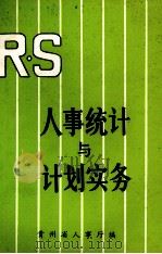 人事统计与计划实务（ PDF版）