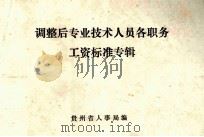 调整后专业技术人员各职务工资标准专辑（ PDF版）