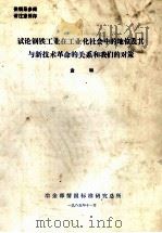 试论钢铁工业在工业化社会中的地位及其与新技术革命的关系和我们的对策（1985 PDF版）