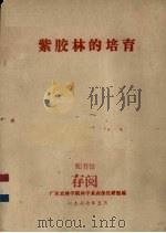 紫胶林的培育 1977 PDF电子版封面 广东农林学院林学系森保教研组编
