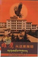 雄鹰从这里展翅 北京西藏中学素质教育成果纪实 1998 PDF电子版封面 7800992705 雷明主编