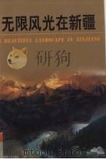 无限风光在新疆（1999 PDF版）