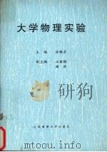大学物理实验 1999 PDF电子版封面 756321299X 徐辑彦主编