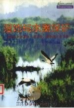 湿地与水禽保护  湿地与水禽保护  东北亚  国际研讨会文集（1998 PDF版）