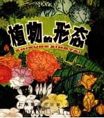 植物的形态 1981 PDF电子版封面 7150·2483 刘筱蕴,王羊绘