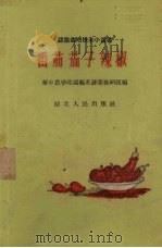 番茄  茄子  辣椒（1960 PDF版）