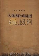 人体解剖图谱 第1卷 骨骼,关节,韧带,肌肉 1960 PDF电子版封面 吉司,森塔戈著