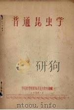 普通昆虫学（1958 PDF版）