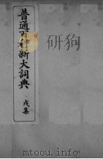 普通百科新大词典  戌集（ PDF版）