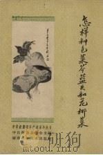 怎样种包菜，芥蓝头和花椰菜（1959 PDF版）