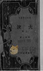 大波 上 1937 PDF电子版封面 李劼人著