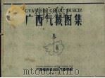 广西气候图集 1960 PDF电子版封面 广西僮族自治区气象局编