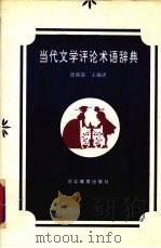 当代文学评论术语辞典 1996 PDF电子版封面 7543426366 张葆霖主编译