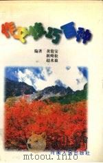 作文技巧百种（1997 PDF版）