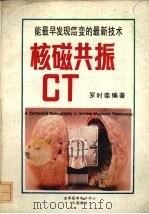 核磁共振CT 1989 PDF电子版封面 罗时葆编著