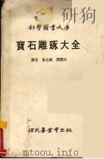宝石雕琢大全 1977 PDF电子版封面 辛坎卡斯著;张志纯译