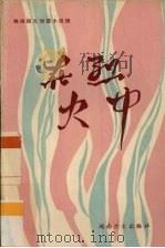 在烈火中 越南南方短篇小说选 1965 PDF电子版封面 (越)武珍雅等著