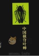 中国横脊叶蝉  同翅目：叶蝉科（1996 PDF版）