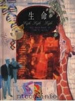 生命（1998 PDF版）