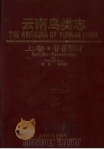 云南鸟类志 上 非雀形目 1994 PDF电子版封面 7541605530 杨岚等编著