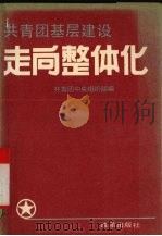 共青团基层建设走向整体化（1991 PDF版）