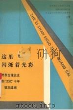 这里闪烁着光彩（1990 PDF版）