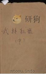 武林狂魔  中（ PDF版）