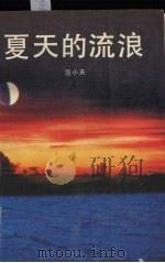 夏天的流浪（1991 PDF版）