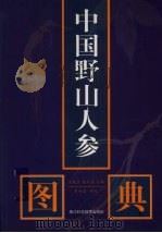 中国野山人参图典 1999 PDF电子版封面 7534113156 王健生,吴云高主编