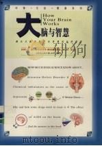 大脑与智慧 揭示大脑如何产生思想活动的秘密 1996 PDF电子版封面 7218016588 (美)(A.D.诺维特-莫雷诺)Anne D.Novitt-