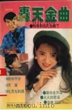 轰天金曲 1995 PDF电子版封面 7220027915 晓木编