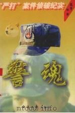 警魂  “严打”案件侦破纪实（1997 PDF版）