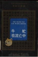 牛虻三步曲  牛虻在流亡中（1995 PDF版）