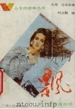 飘：多一份飘逸浪漫（1993 PDF版）