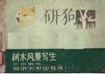 树木风景写生（ PDF版）
