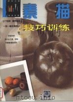 素描技巧训练 西班牙版 1998 PDF电子版封面 7539407786 罗国祥译