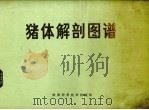 猪体解剖图谱（1980 PDF版）
