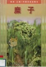 糜子 1999 PDF电子版封面 7109053431 柴岩主编