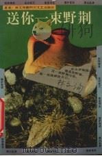 送你一束野荆（1992 PDF版）