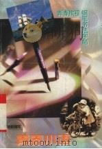 青春小语  青春旅程钢笔书法字帖（1995 PDF版）