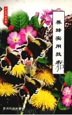 养蜂实用技术（1999 PDF版）